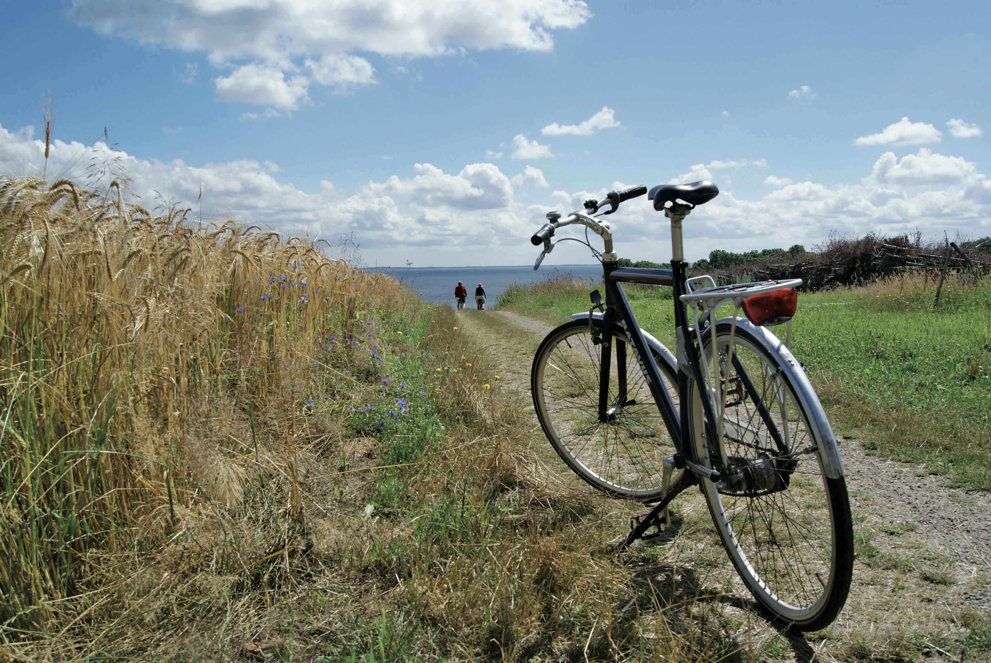 Sykkelferie Danmark: danmark sykkeltur