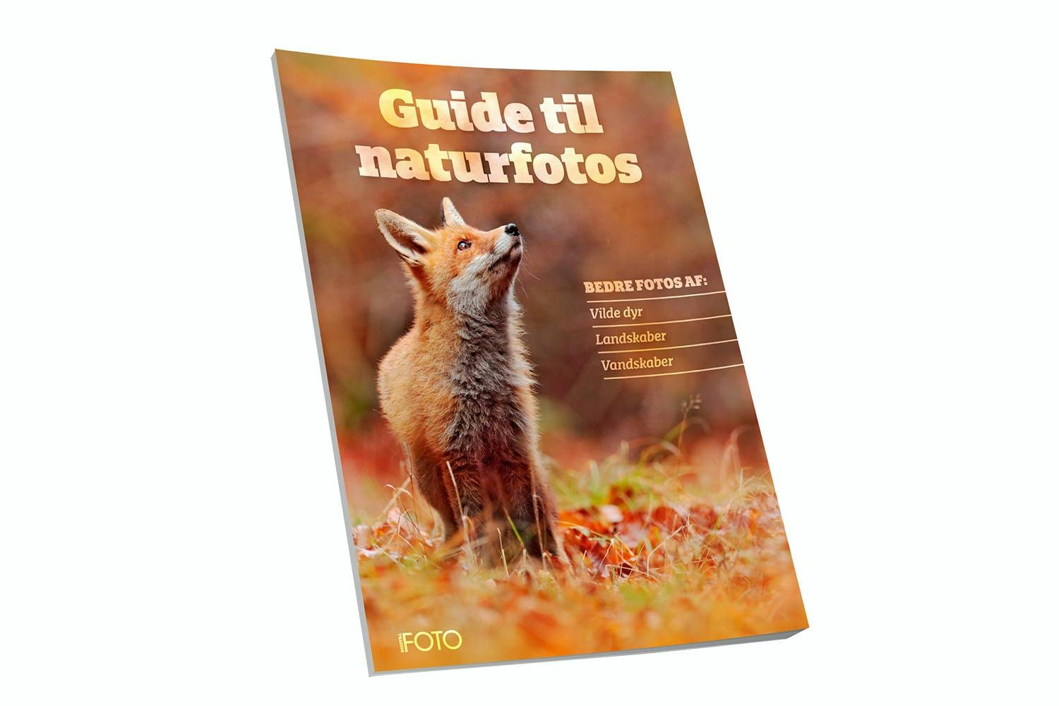 Guide til naturfotos