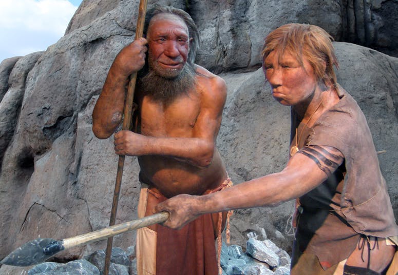 Fossilet gömde sig i El Sidrón-grottan, där rester från 13 neandertalare hittades under 1990-talet.
