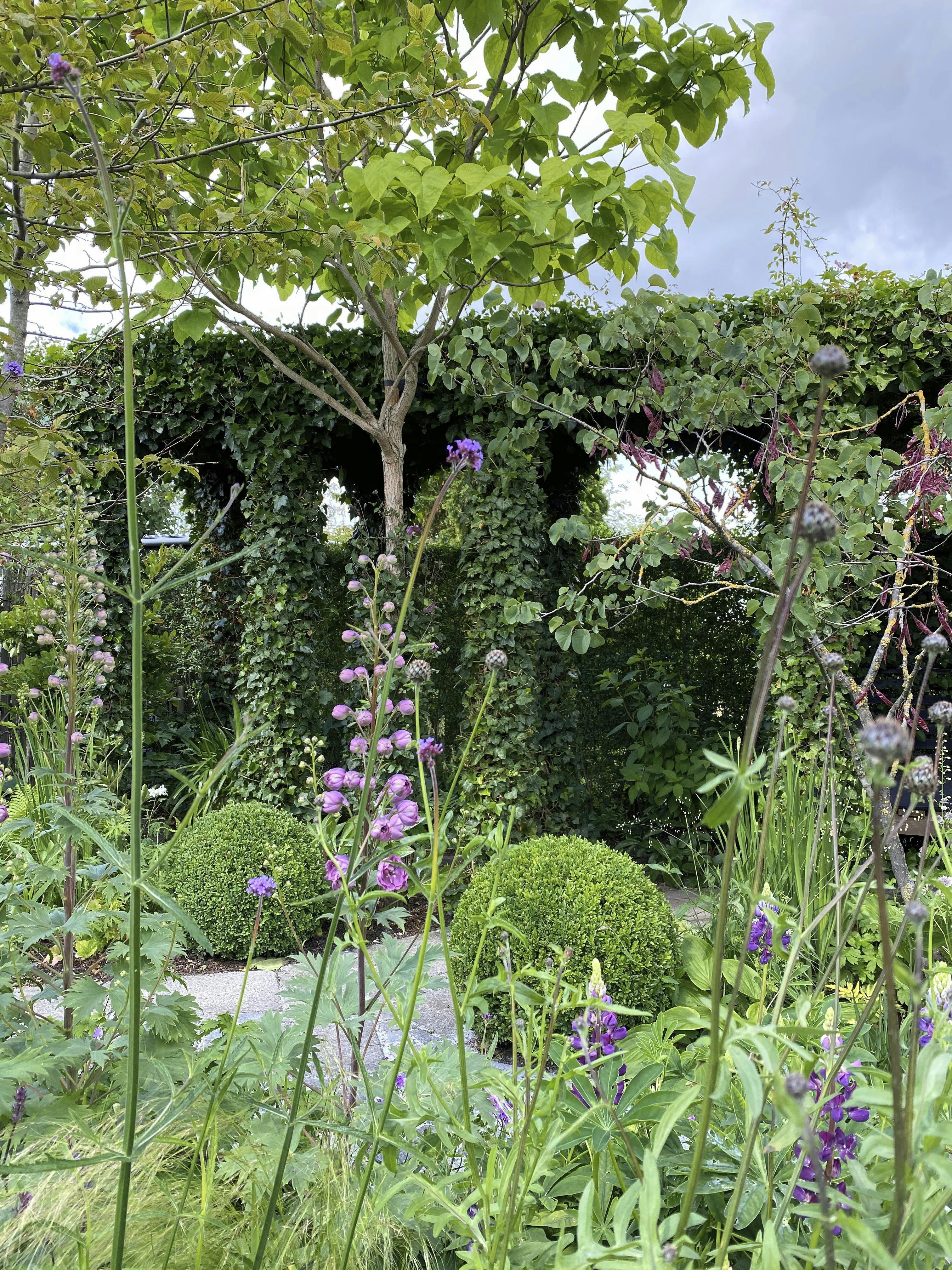 Har du mod på at bygge en pergola, giver det en god højde til din have. Har du mod på at bygge en pergola, giver det en god højde til din have.