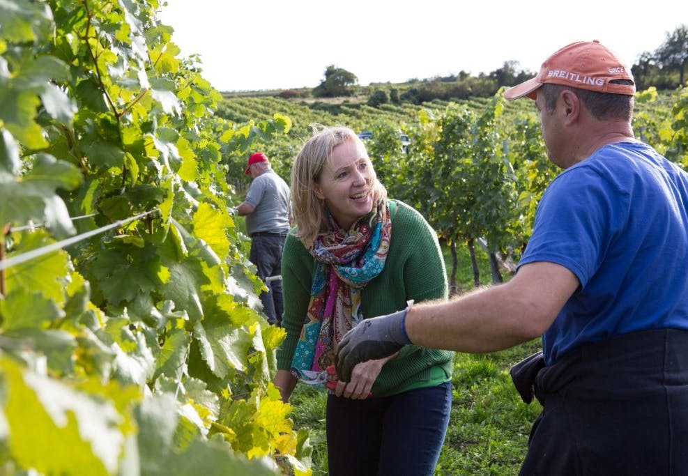 Vinmaker Petra Unger i vinmarken