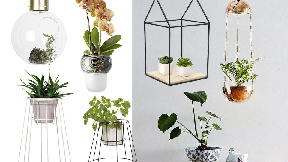 7 anderledes planteløsninger