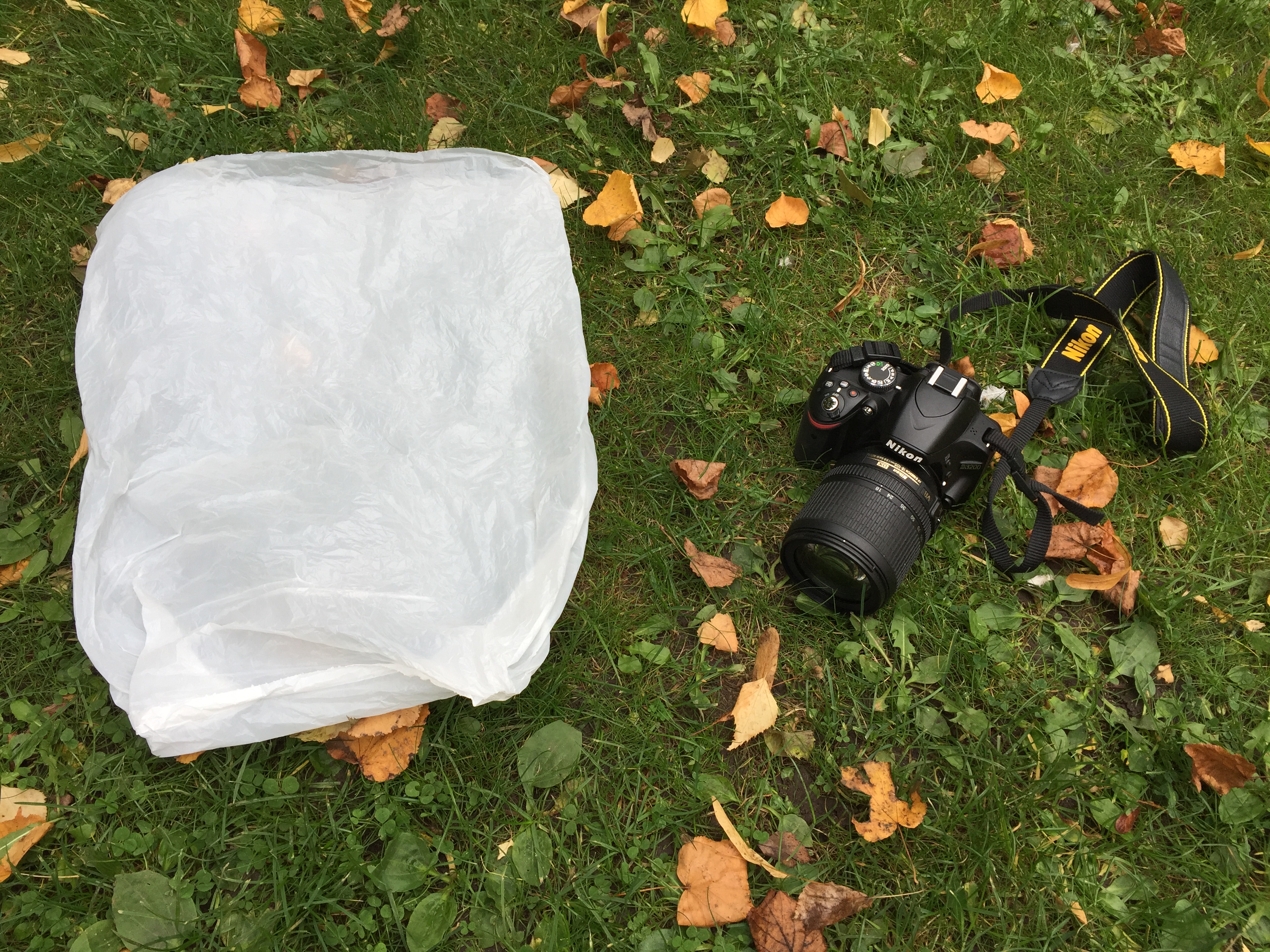 Mania dyr erfaring 4 smarte fototricks med en plasticpose | Digitalfoto.dk