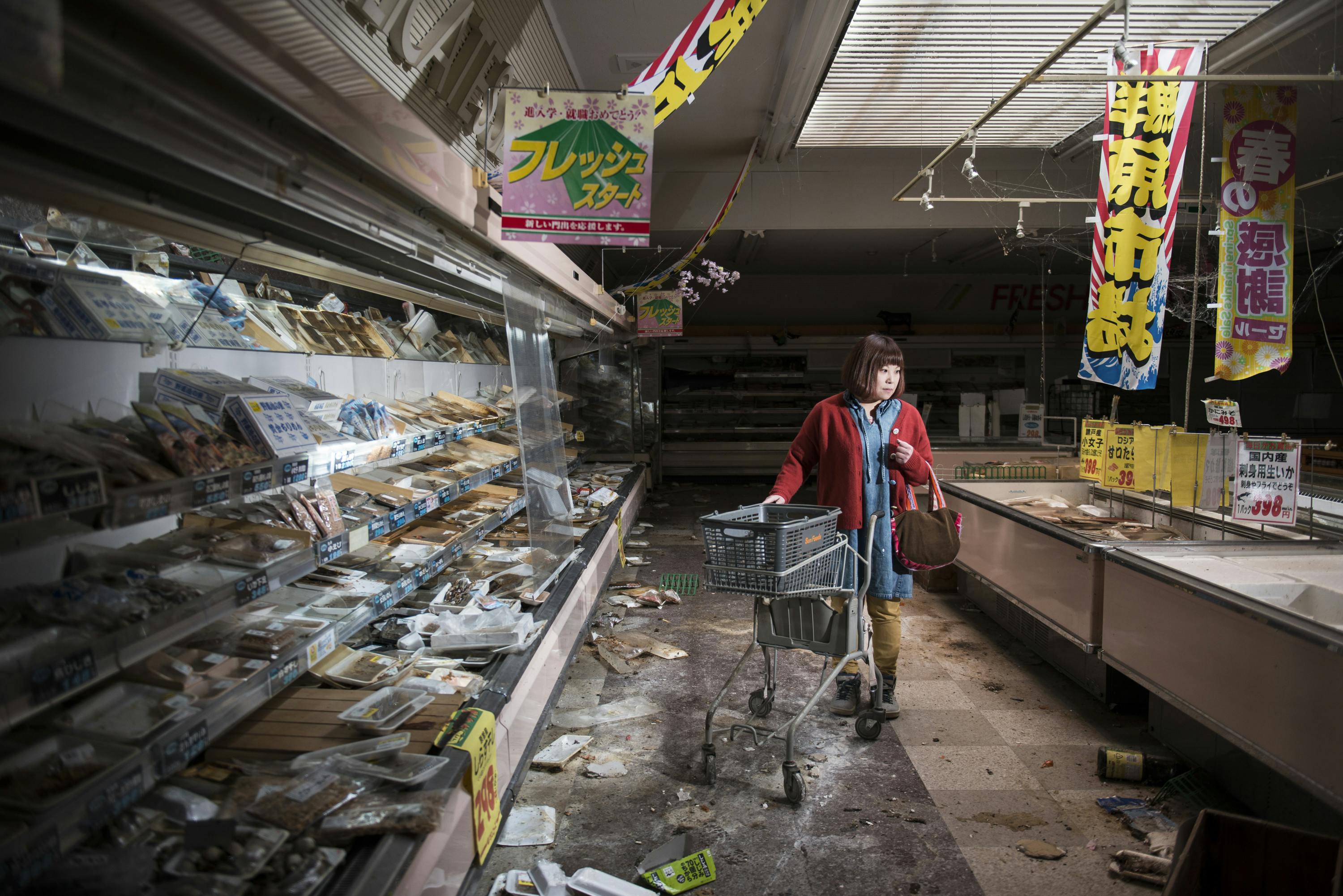 Fukushima – No Go Zone Fukushima – No Go Zone