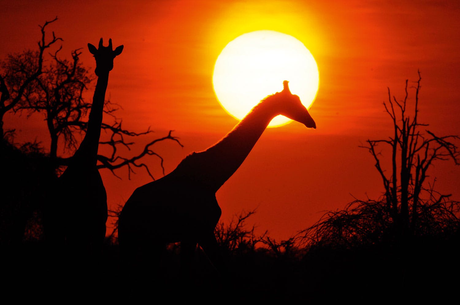 Botswana