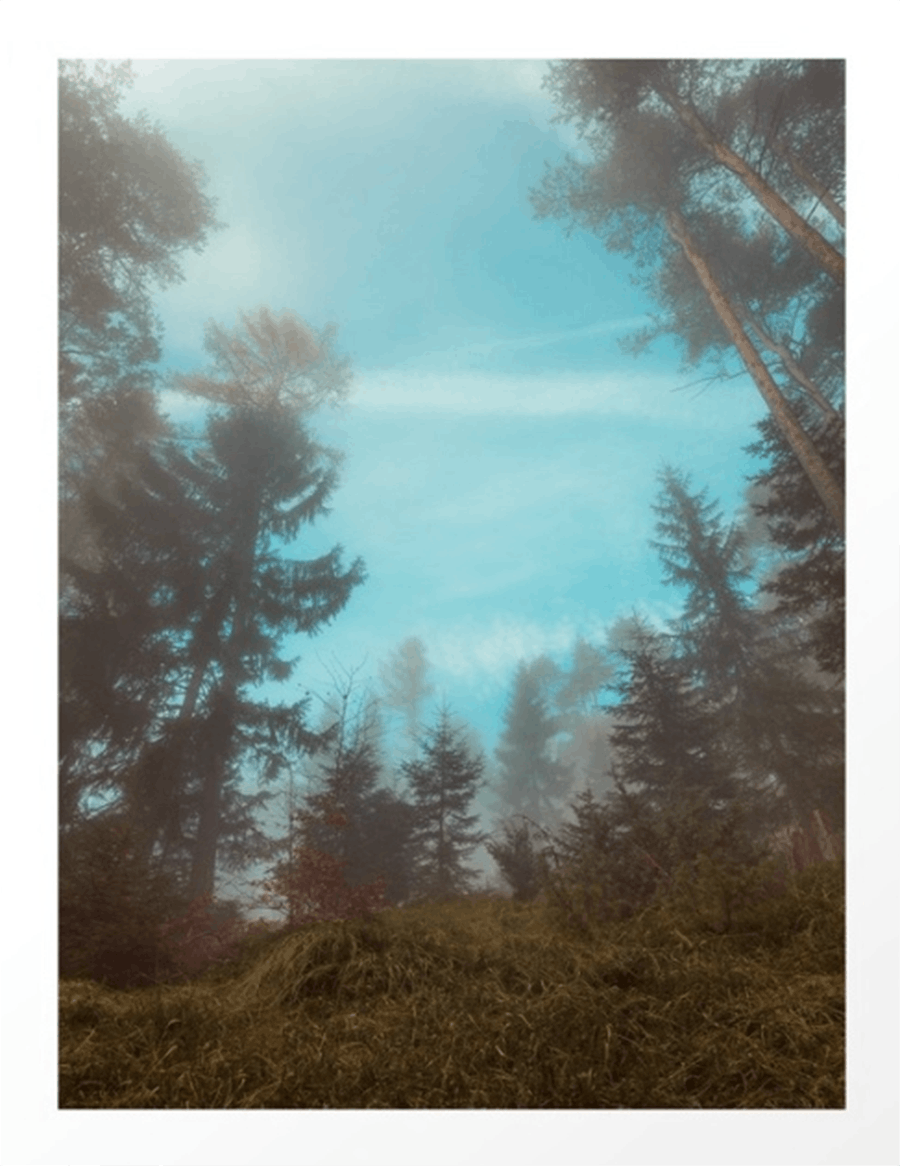 Nod away Nod away