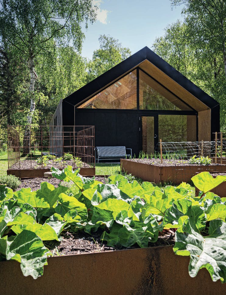 De reeën eten van de bessen, maar laten de rabarber met rust. moestuin bij moderne vakantiewoning