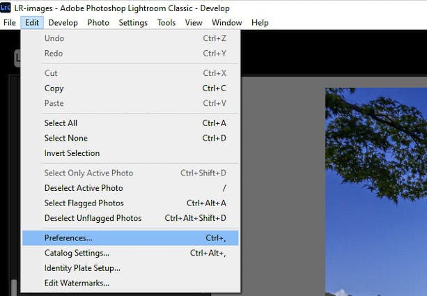 Lightroom