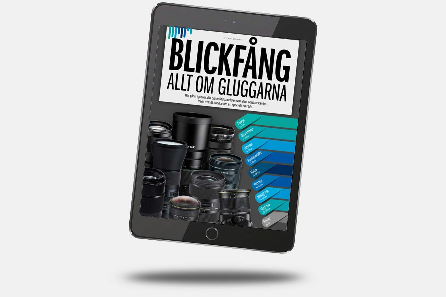 E-boken Blickfång – allt om gluggarna