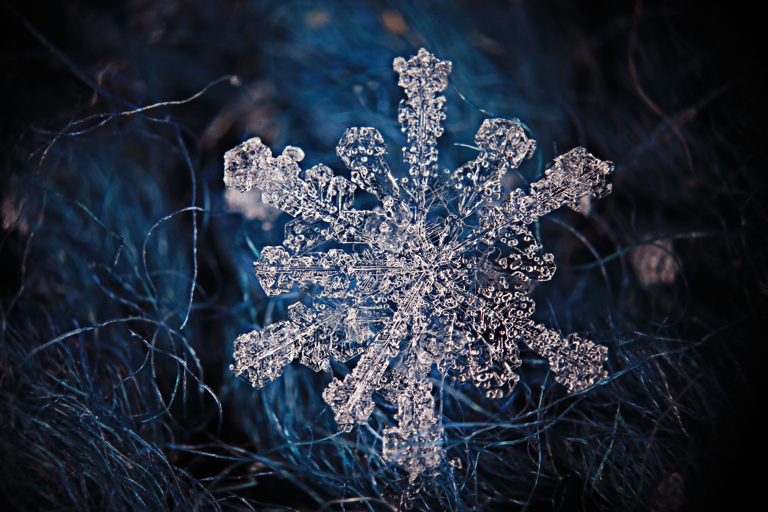 5 tips til at fotografere frostvejr