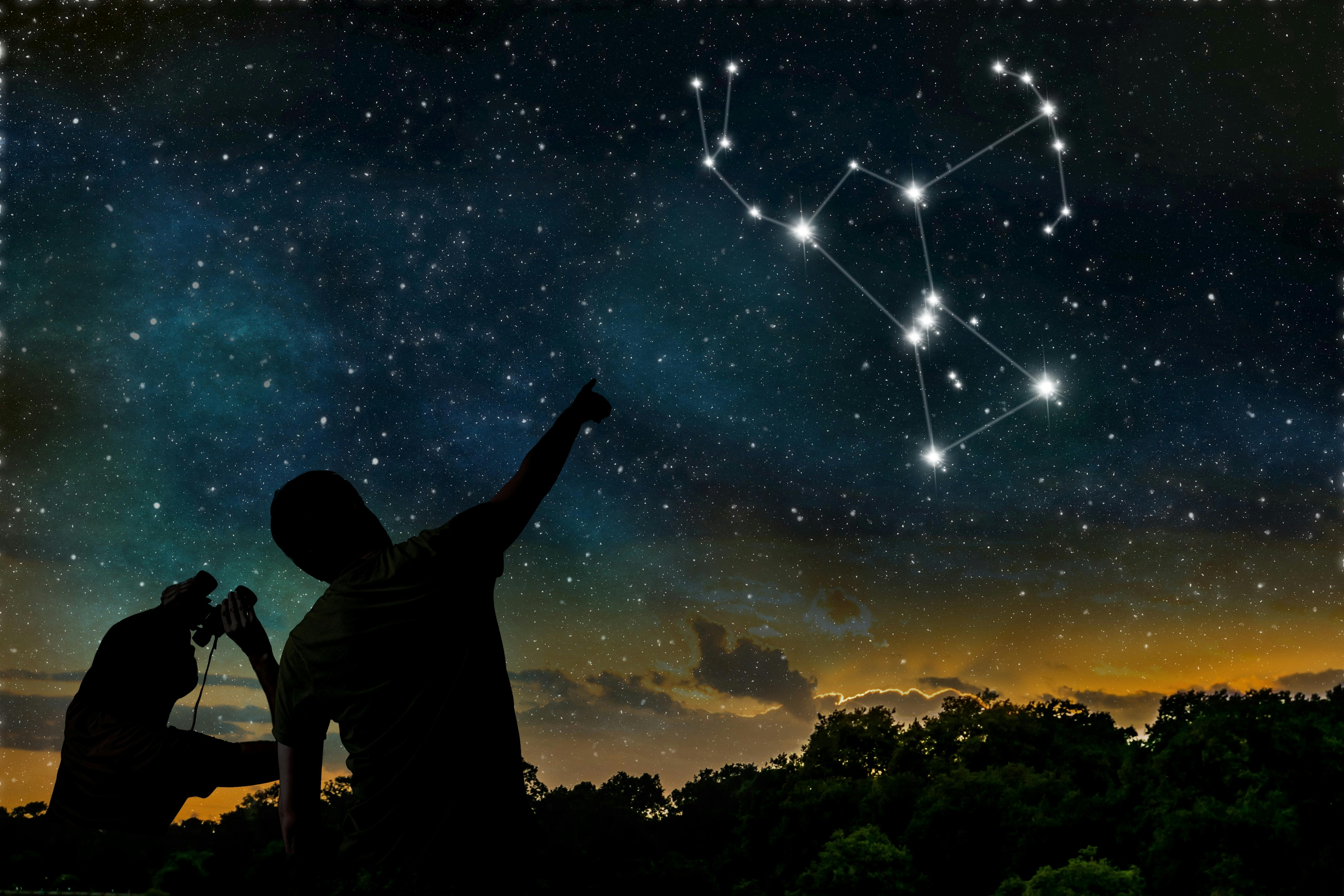 Orion Orion