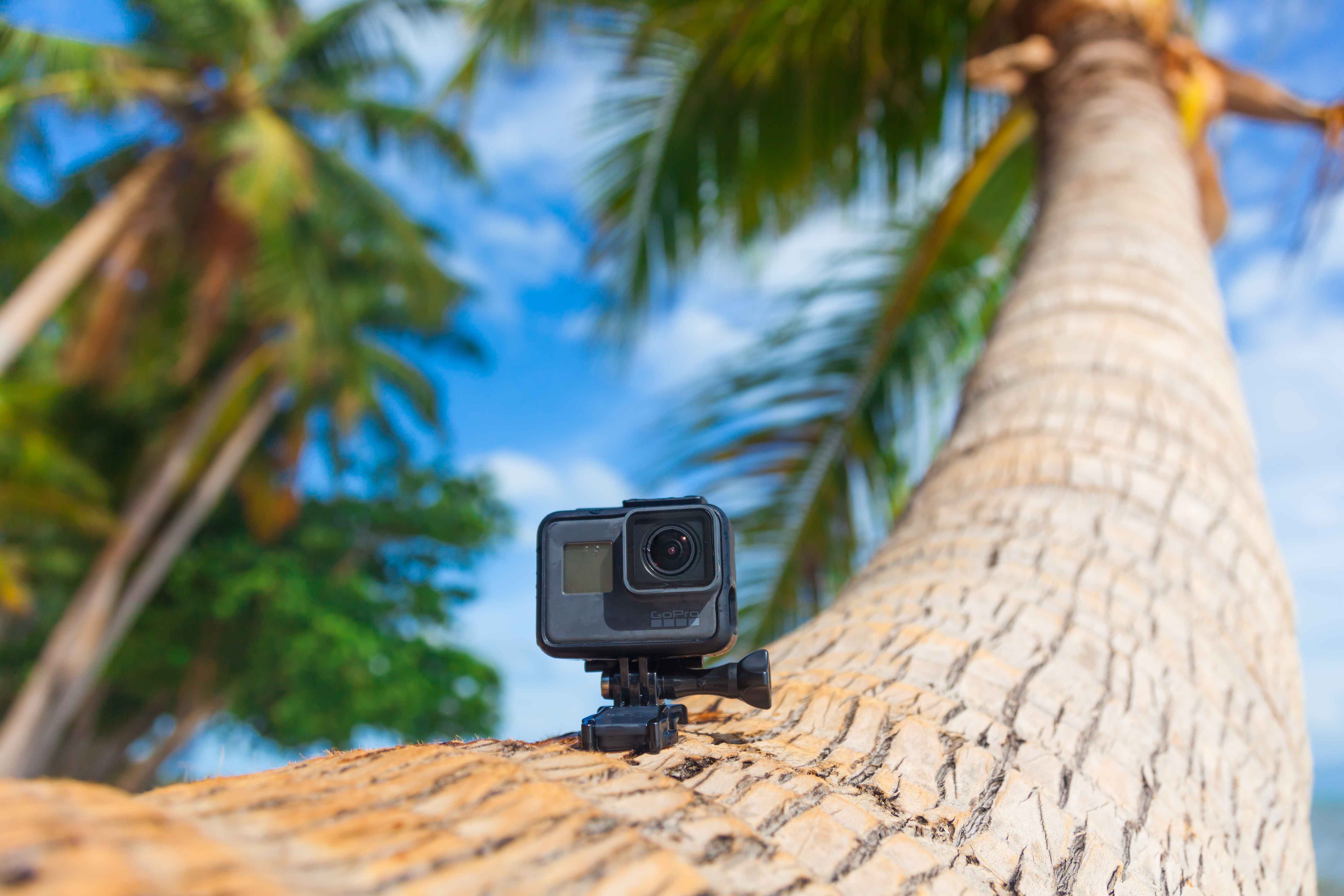 Flere nye GoPro-modeller er på vei i 2022 | Digital-foto.no