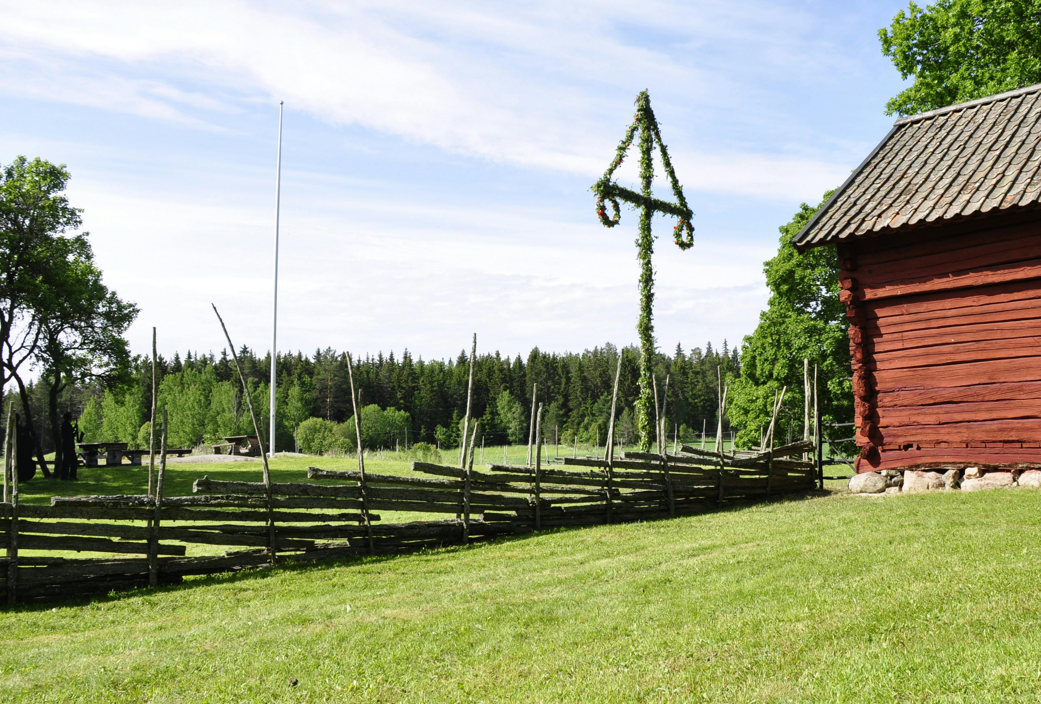 Midsommarstång på landet