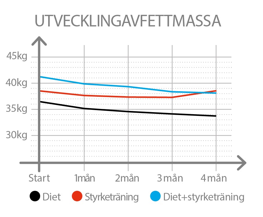 Statistik över utveckling av fettmassa