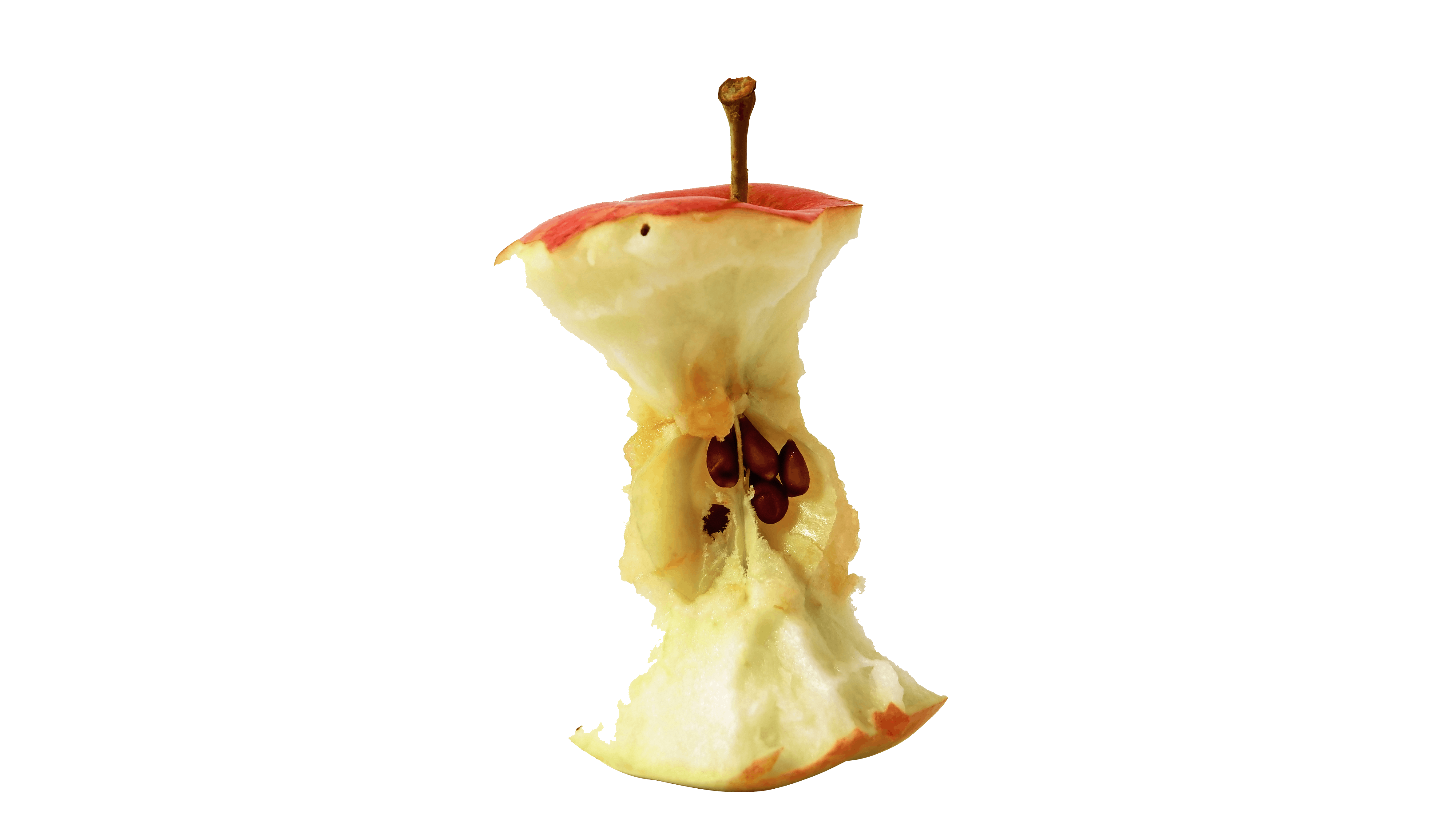 Kärnhus från äpple