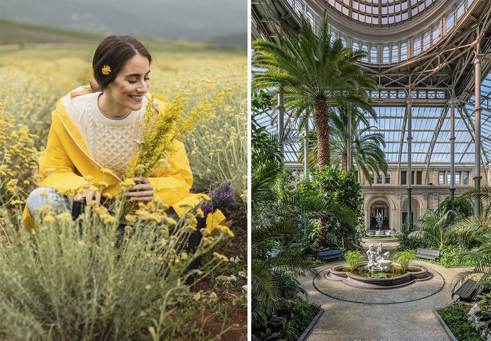 Vidste du, at Glyptoteket er gratis hver tirsdag? Gratis sommer i Danmark – kvinde plukker blomster og glyptoteket