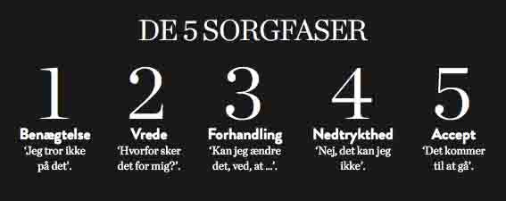 De 5 sorgfaser