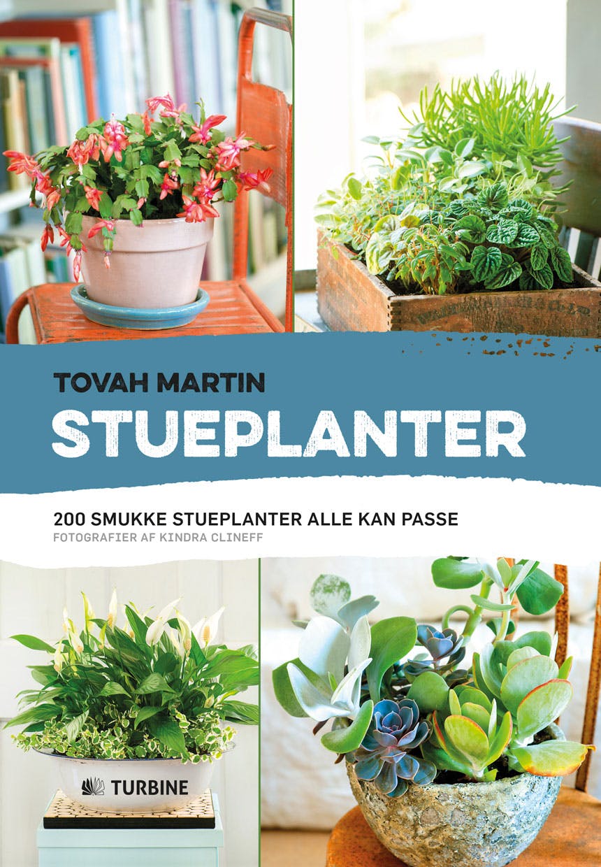 Stueplanter af Tovah Martin