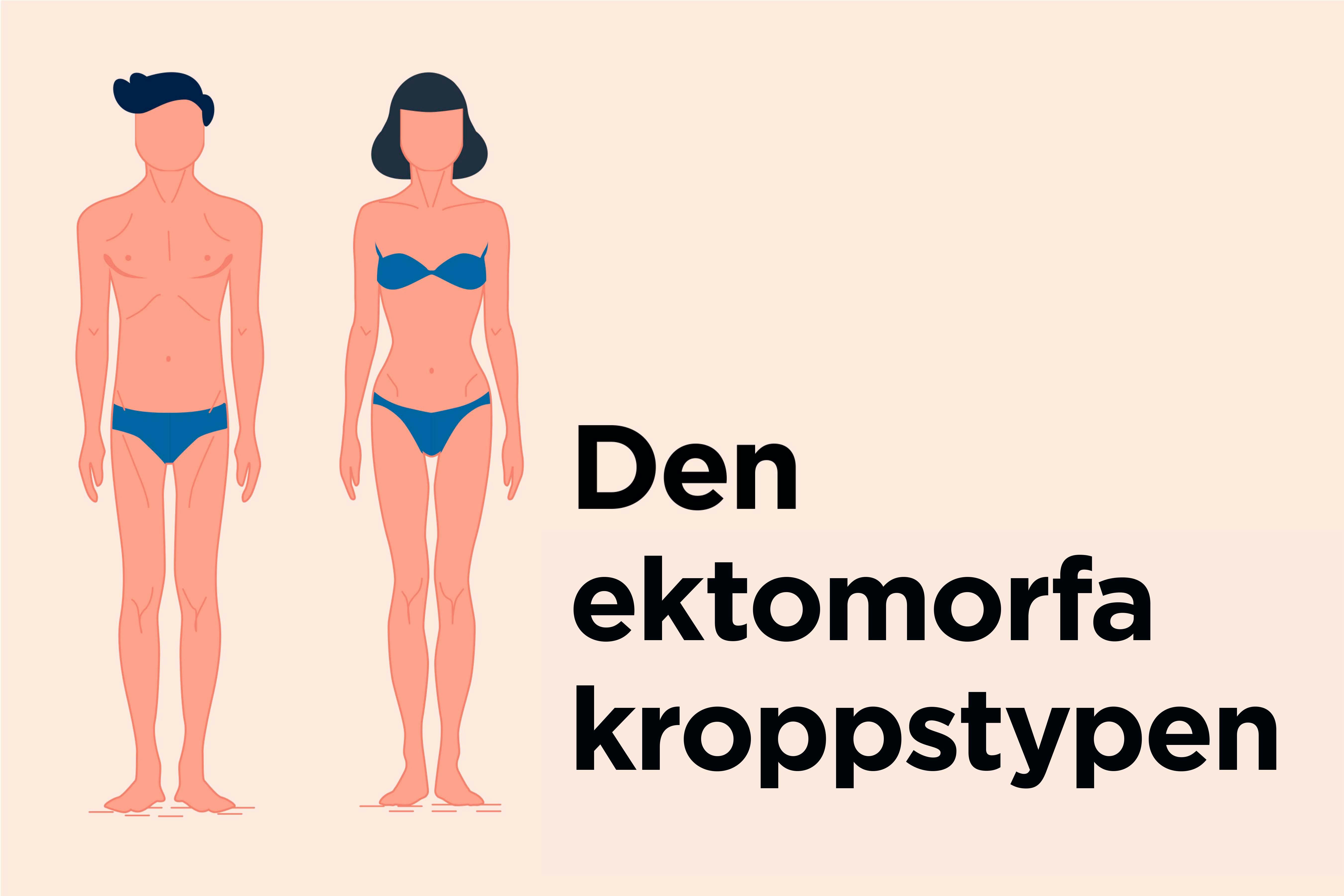 Den ektomorfa kroppstypen - Illustration av den ektomorfa kroppstypen