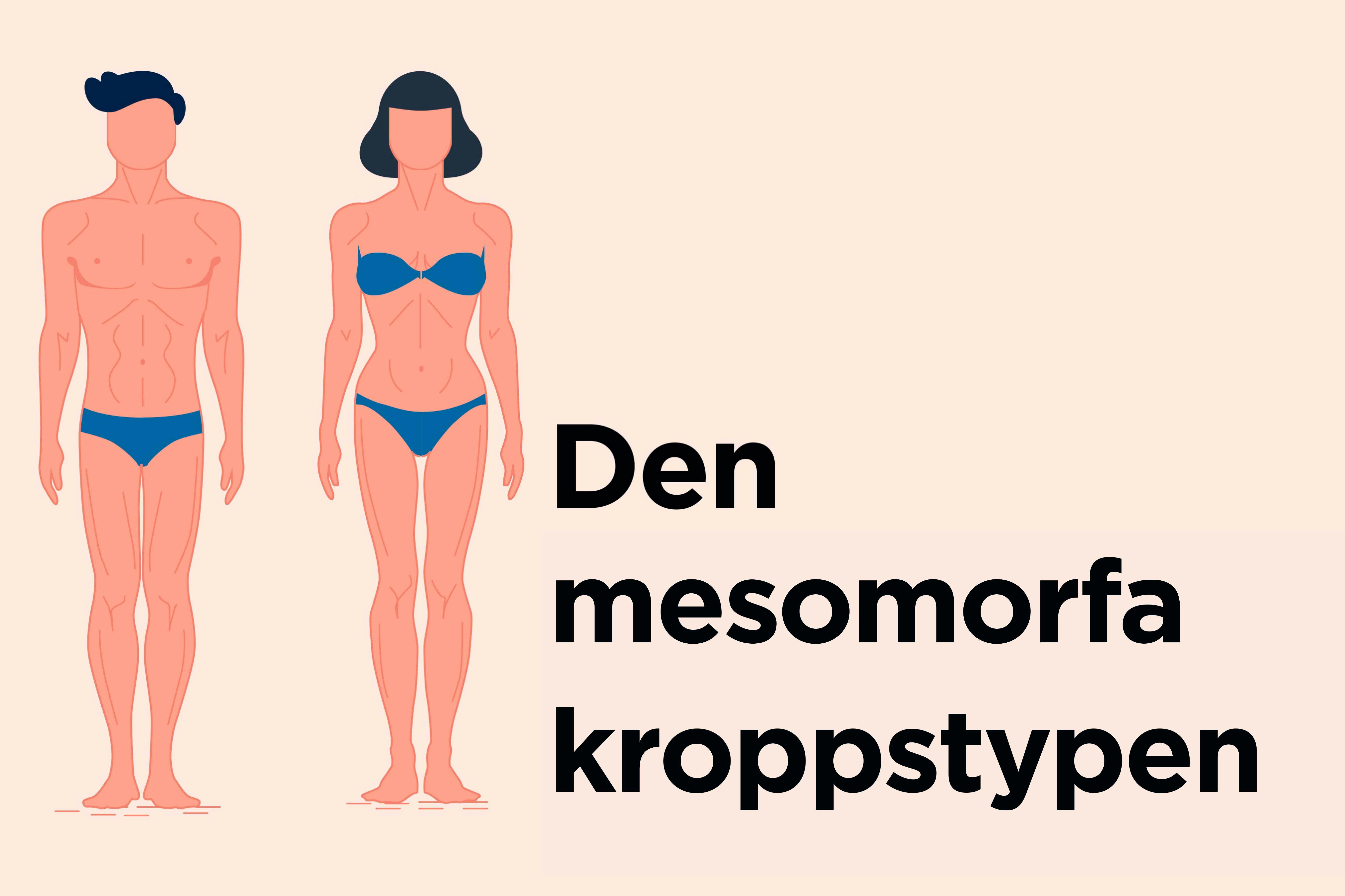 Den mesomorfa kroppstypen - Illustration av den mesomorfa kroppstypen