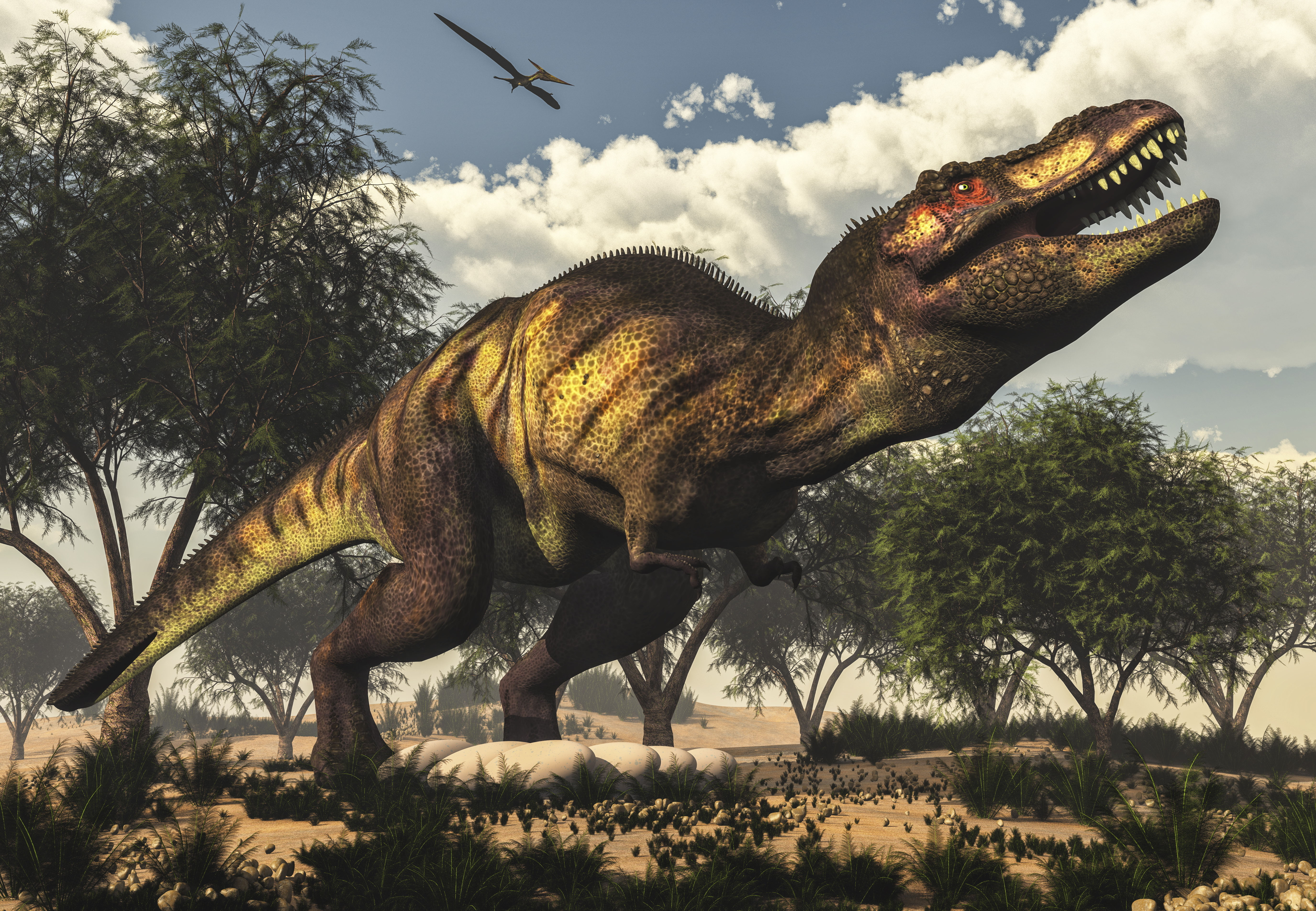 Forskare avsl\u00f6jar: Tyrannosaurus rex kunde inte springa  Illvet.se
