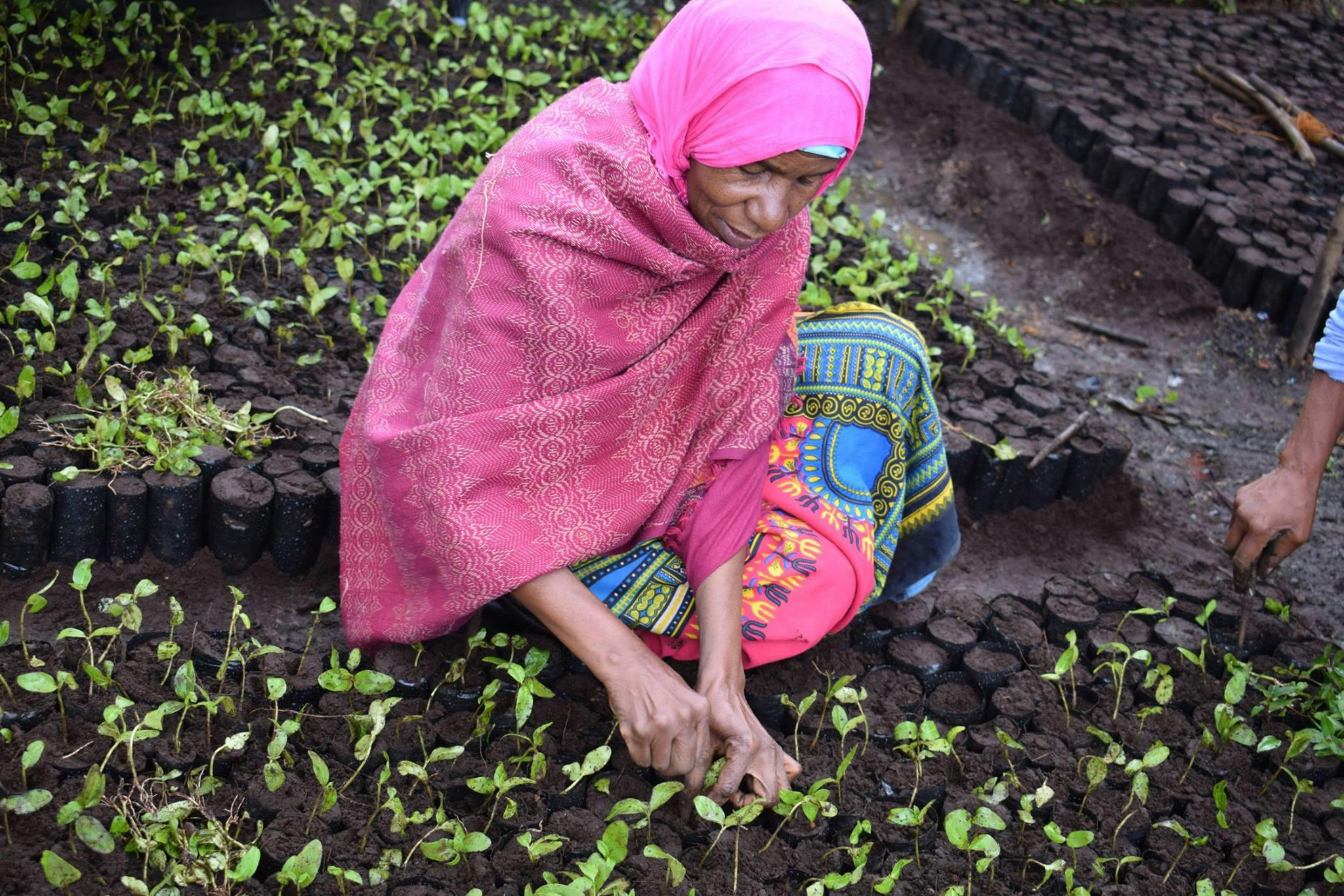 Kvinna i Tanzania som planterar sticklingar till träd som Ecosia har gett stöd till.