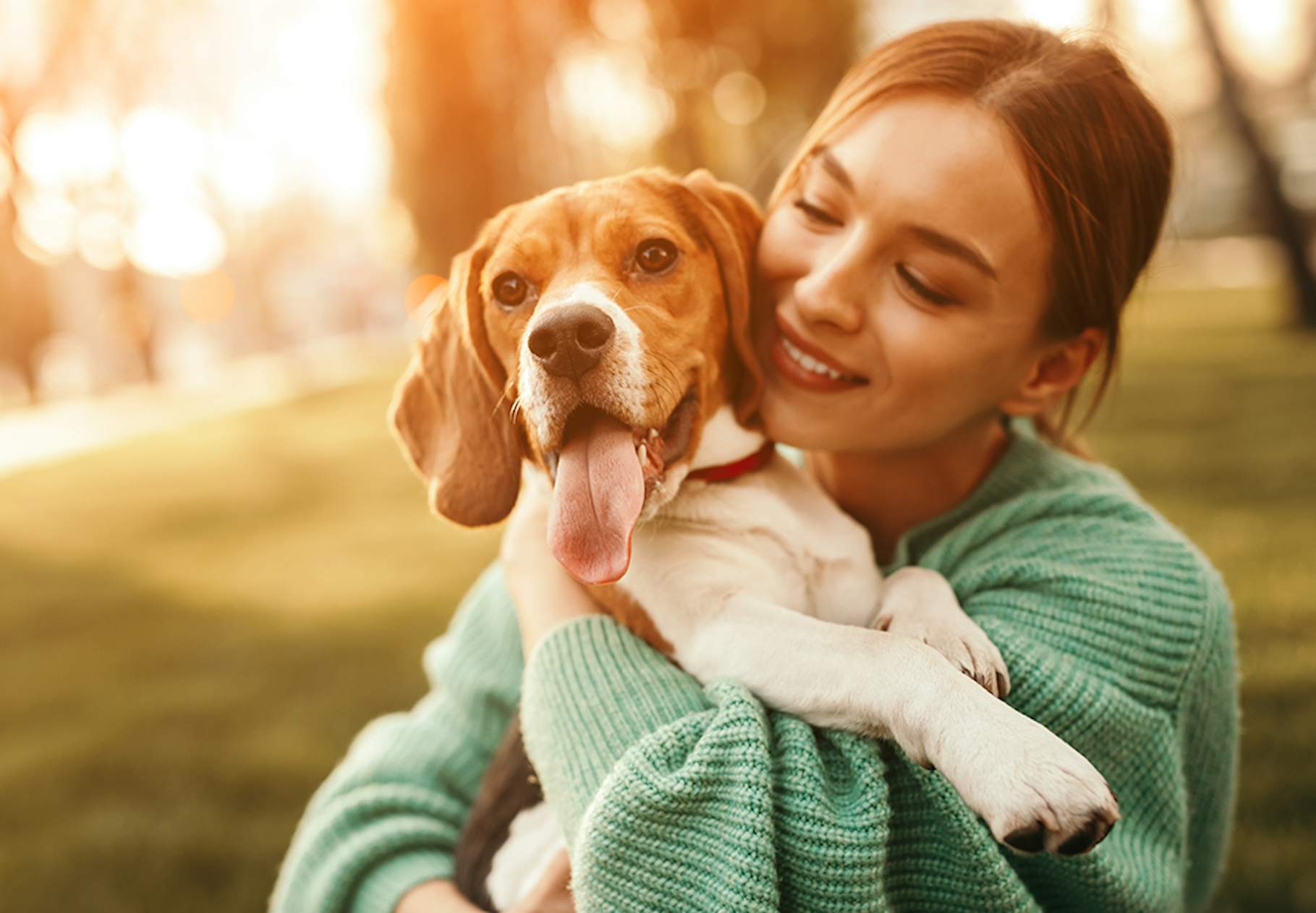 inerti Blænding Palads 12 ting, der viser, at din hund elsker dig højt | Woman.dk