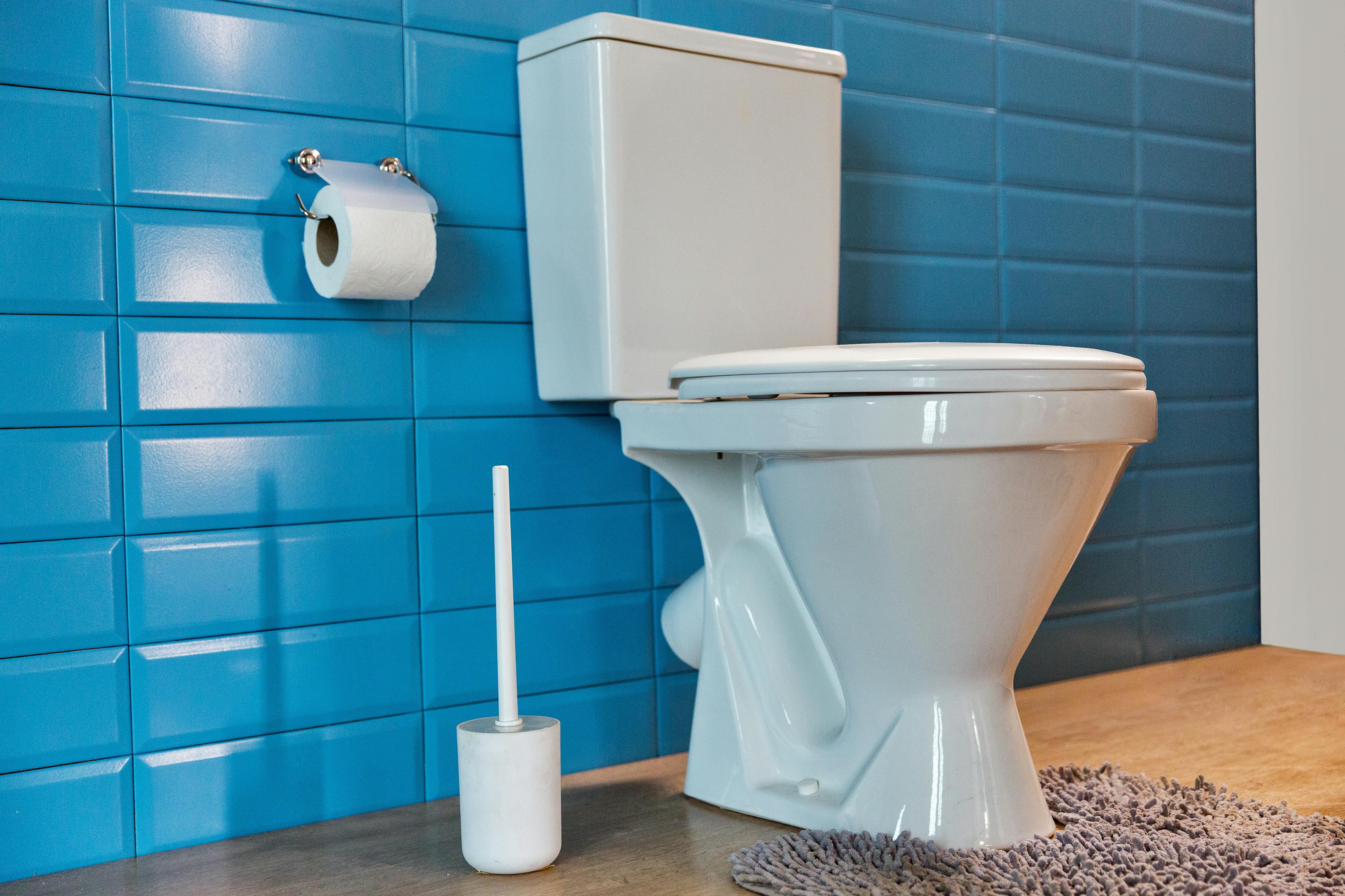 Der er mange flere bakterier på toiletbørsten, end du lige tror. Toilet og toiletbørste