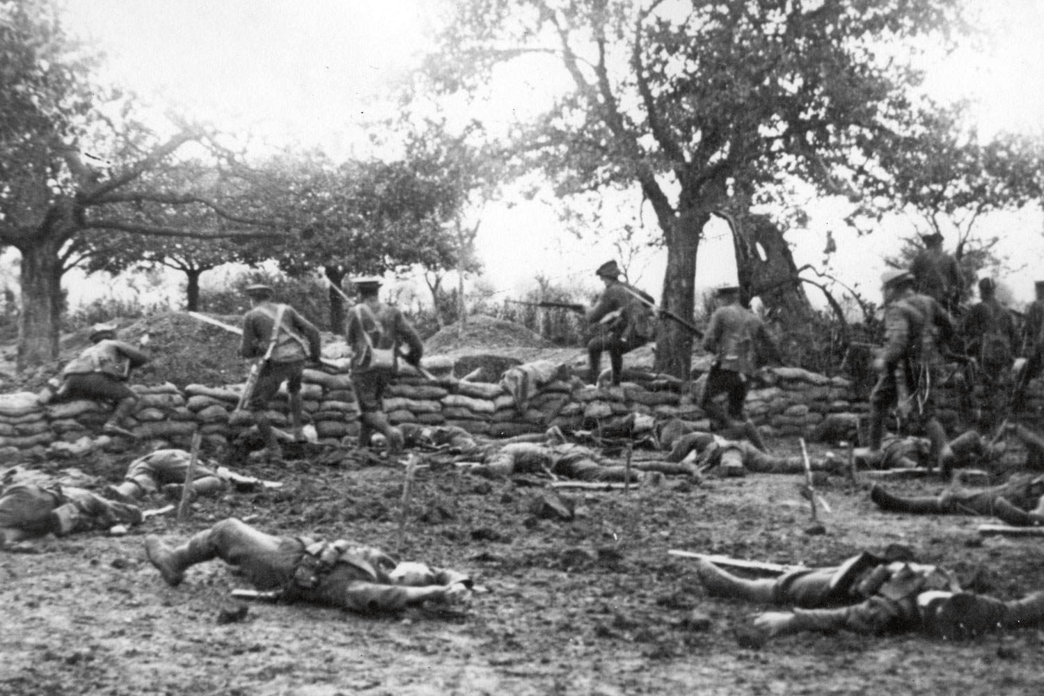 Westfront vroor vast in loopgravenhel | Historianet.nl