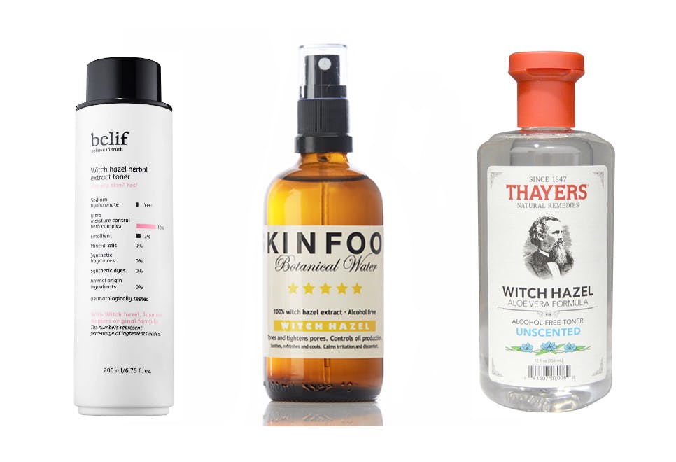 Troldnød: Alt om witch hazel og hamamelis