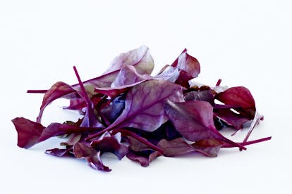 Bull’s blood-salat