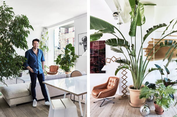 Jakob Lange in zijn woonkamer in Kopenhagen, waar grote planten alle ruimte krijgen. Jakob Lange in zijn woonkamer in Kopenhagen, waar grote planten alle ruimte krijgen.