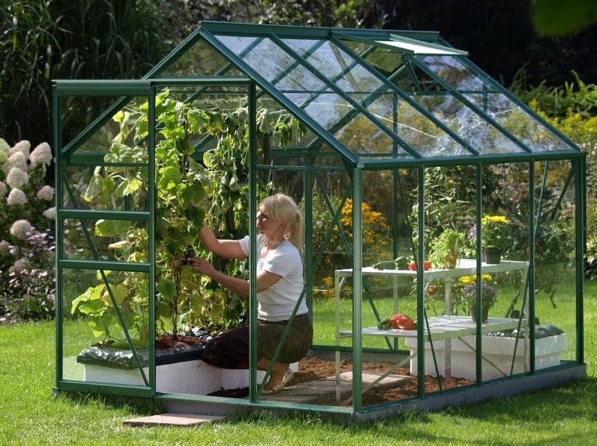 Växthus Vitavia Venus. Foto: Trademax Växthus Vitavia Venus. Foto: Trademax