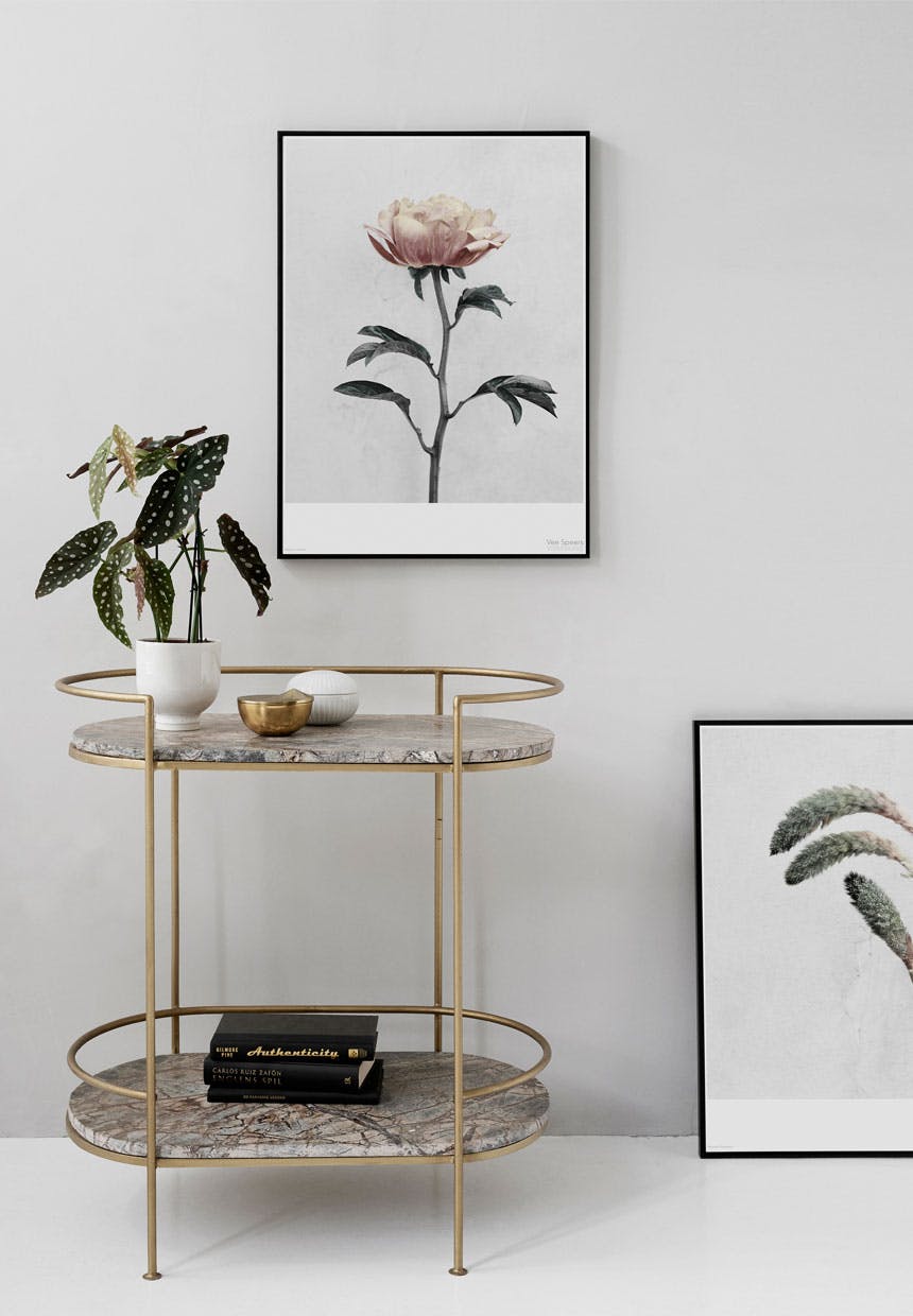 Pæonen (Paeonia) er fra serien Botanica.