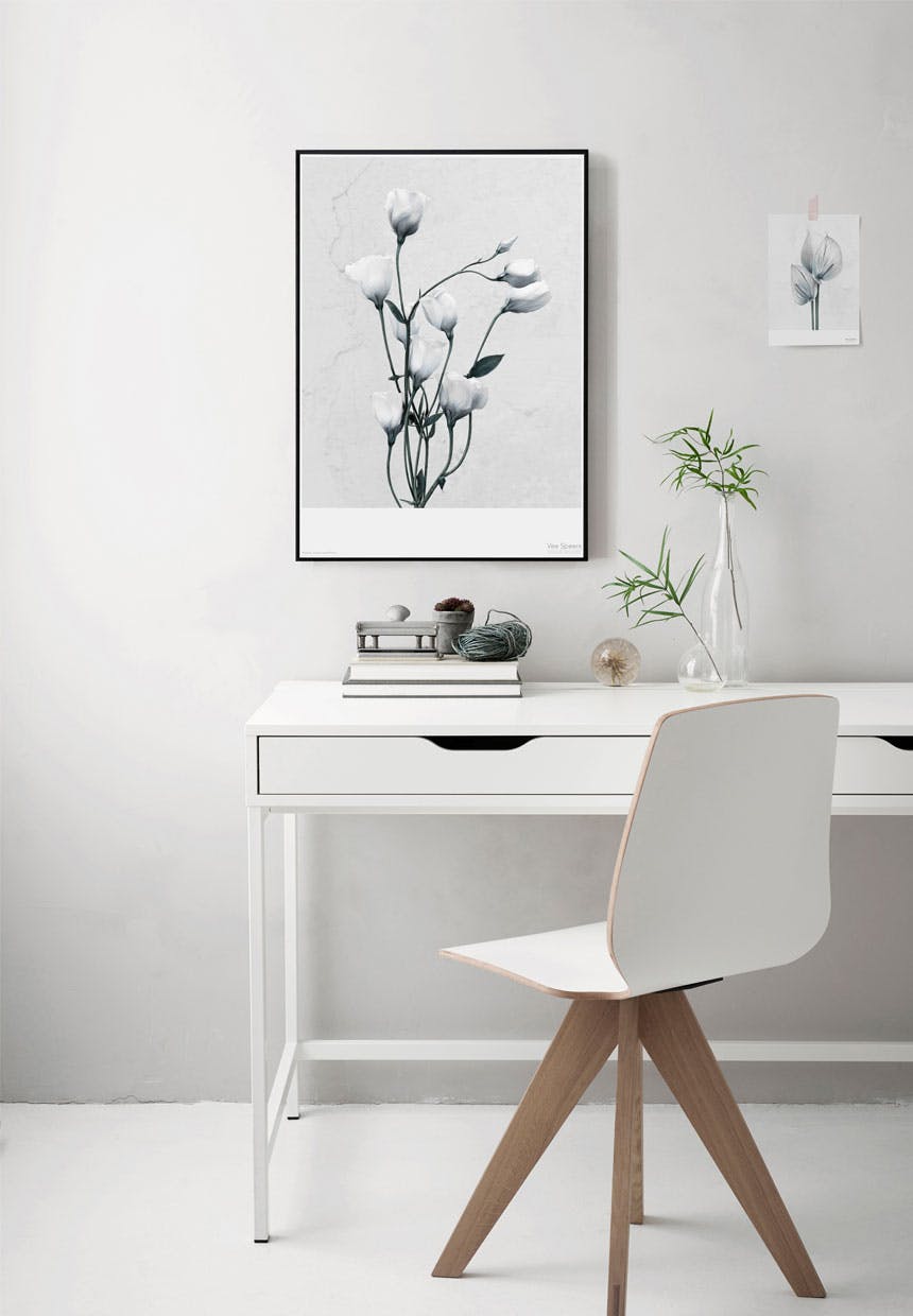 Blomsten Texasklokke (Eustoma Grandiflorum) er fra serien Botanica